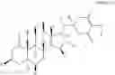 Fig. 20 - Compositions and methods for disease treatment using nanoparticle delivered compounds
