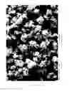 Fig. 02 - Surface-reacted calcium carbonate for desensitizing teeth