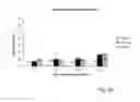 Fig. 08 - Nutritional composition for improving muscle function and daily activity