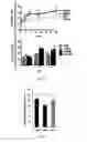 Fig. 05 - Cellular compositions used to restore stem cell or progenitor cell function and methods related thereto