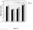 Fig. 18 - METHODS OF GENERATING, REPAIRING AND/OR MAINTAINING CONNECTIVE TISSUE IN VIVO