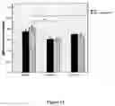Fig. 19 - METHODS OF GENERATING, REPAIRING AND/OR MAINTAINING CONNECTIVE TISSUE IN VIVO