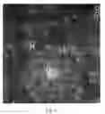 Fig. 02 - Lactic acid bacteria and use thereof