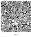 Fig. 03 - Lactic acid bacteria and use thereof