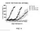 Fig. 08 - Replication-competent vesicular stomatitis viruses