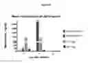 Fig. 07 - Oncolytic virus for expression of immune checkpoint modulators