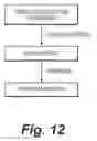 Fig. 13 - Medicinal composition of amaranth extract origin having enriched nitrate content and a method of preparing the same