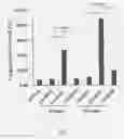 Fig. 05 - Plant extract composition for reducing localized fat and promoting weight loss as well as application thereof