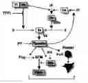 Fig. 01 - TFPI inhibitors and methods of use