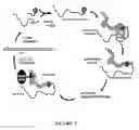 Fig. 06 - TFPI inhibitors and methods of use