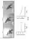 Fig. 09 - Treating liver diseases