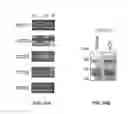Fig. 10 - Treating liver diseases