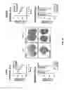 Fig. 12 - Treating liver diseases