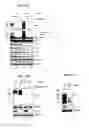 Fig. 19 - CDK MODULATORS AND METHODS FOR THE TREATMENT OF CANCER