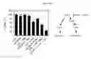 Fig. 20 - CDK MODULATORS AND METHODS FOR THE TREATMENT OF CANCER