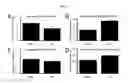 Fig. 09 - Methods for treating pain caused by inflammation induced mechanical and/or thermal hypersensitivity
