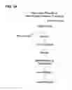 Fig. 02 - Preparation and composition of inter-alpha inhibitor proteins from blood