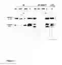 Fig. 09 - Preparation and composition of inter-alpha inhibitor proteins from blood