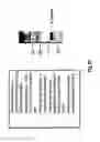 Fig. 33 - Complete genome sequence of the methanogen 