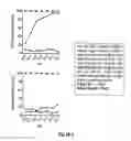 Fig. 37 - Complete genome sequence of the methanogen 
