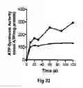 Fig. 40 - Complete genome sequence of the methanogen 