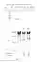 Fig. 04 - Modified natural killer cells and natural killer cell lines having increased cytotoxicity