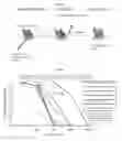 Fig. 04 - Immunogenic Compositions
