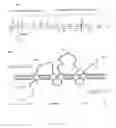 Fig. 06 - Method for the production of recombinant virus, DNA constructs, recombinant virus and vaccine compositions