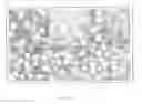 Fig. 12 - Method for the production of recombinant virus, DNA constructs, recombinant virus and vaccine compositions