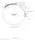 Fig. 20 - Method for the production of recombinant virus, DNA constructs, recombinant virus and vaccine compositions