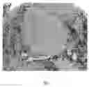 Fig. 02 - MANF as a Regulator of Immune System Function