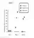 Fig. 02 - Vaccination response for immunodeficiency disorders or high cortisol