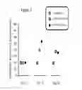 Fig. 03 - Vaccination response for immunodeficiency disorders or high cortisol