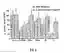 Fig. 07 - Anti-inflammatory factor retentate, method of isolation, and use