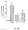 Fig. 29 - Anti-inflammatory factor retentate, method of isolation, and use