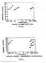 Fig. 46 - Anti-inflammatory factor retentate, method of isolation, and use