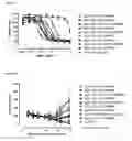 Fig. 07 - Antibodies binding AXL