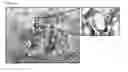 Fig. 08 - Antibodies binding AXL