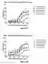 Fig. 35 - Bi-Specific Monovalent Diabodies That are Capable of Binding CD19 and CD3, and Uses Thereof