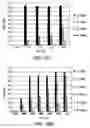 Fig. 20 - Compositions and methods for reducing overdose