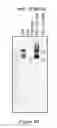 Fig. 14 - FACTOR VIII POLYMER CONJUGATES