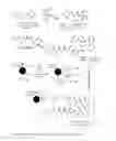 Fig. 15 - Conjugates of cell binding molecules with cytotoxic agents