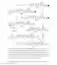 Fig. 27 - Conjugates of cell binding molecules with cytotoxic agents