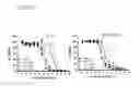Fig. 23 - Isoquinolidinobenzodiazepines