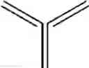 Fig. 98 - Isoquinolidinobenzodiazepines