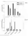 Fig. 09 - Methods and compositions for liposomal formulation of antigens and uses thereof