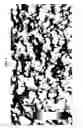 Fig. 04 - AAV vectors with expanded packaging capacity