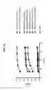 Fig. 45 - AAV vectors with expanded packaging capacity