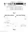 Fig. 02 - LENTIVIRAL VECTOR FOR STEM CELL GENE THERAPY OF SICKLE CELL DISEASE
