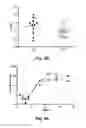 Fig. 07 - LENTIVIRAL VECTOR FOR STEM CELL GENE THERAPY OF SICKLE CELL DISEASE